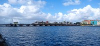 20260121_095312.jpg