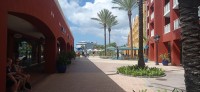 20260121_115832.jpg
