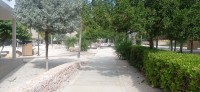 20260123_095957.jpg