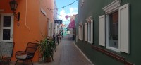 20260123_110111.jpg