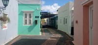 20260123_110150.jpg