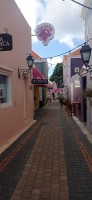 20260123_110236.jpg