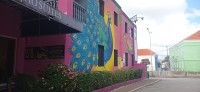 20260123_110539.jpg