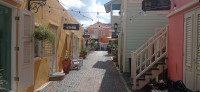 20260123_110625.jpg