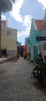 20260123_110735.jpg