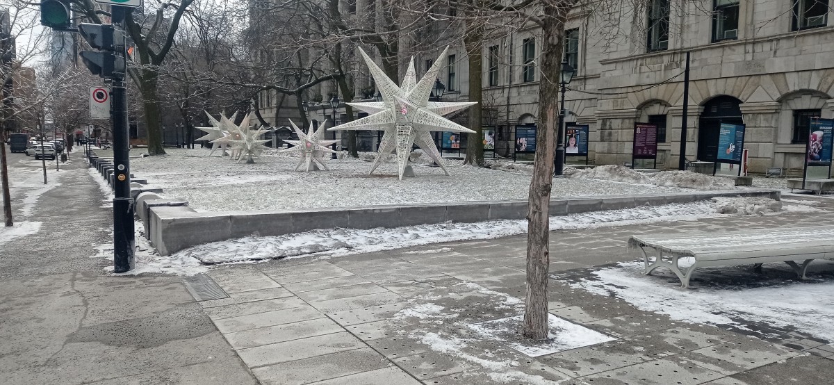 20260312_144451.jpg