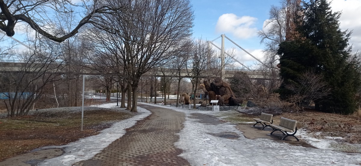 20260313_111302.jpg