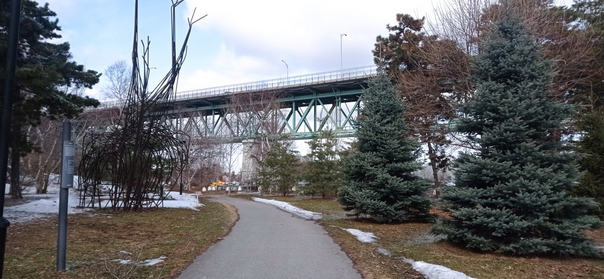 20260313_114806.jpg