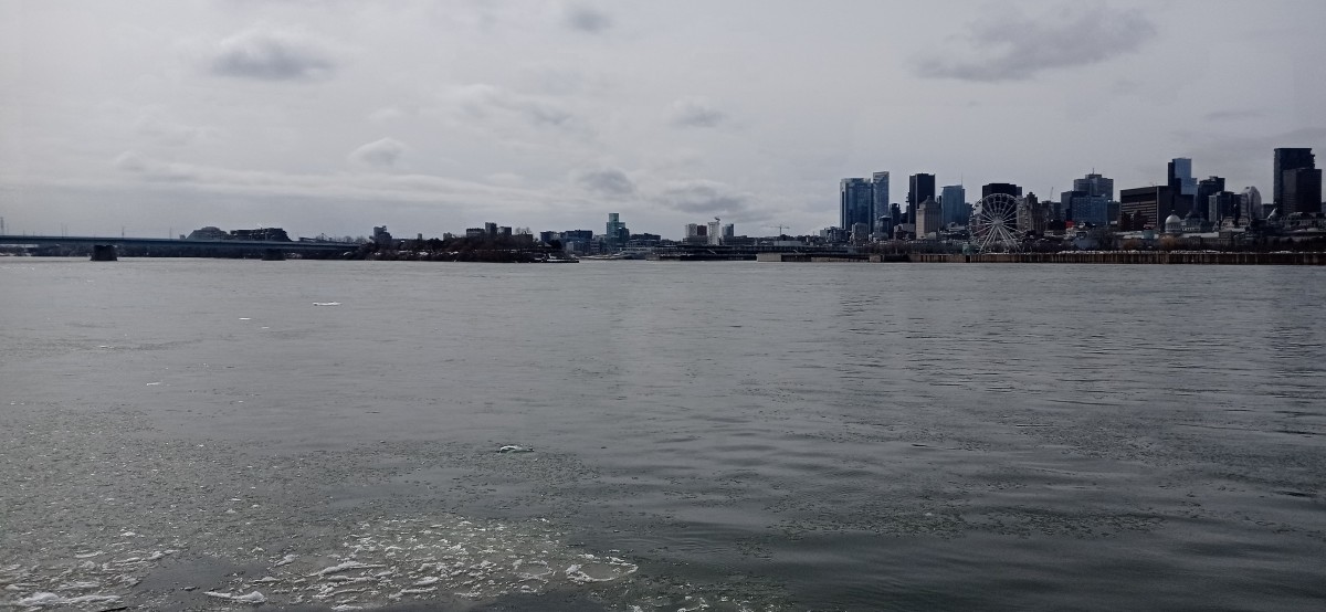 20260313_124109.jpg