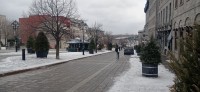 20260312_144505.jpg