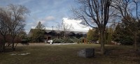 20260313_110504.jpg