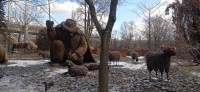 20260313_111325.jpg