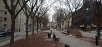 20260313_150950.jpg