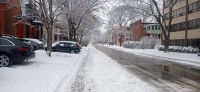 20260314_101401.jpg