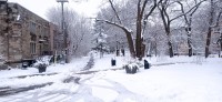 20260314_102210.jpg