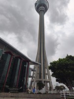 20260403_133913.jpg