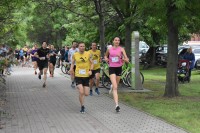 5313.jpg 5313.jpg